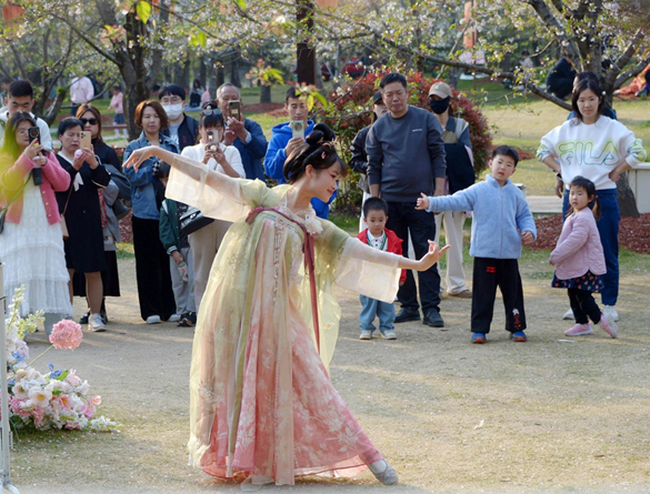 清明假期期間，上海顧村公園櫻花島上，游客在觀賞國風(fēng)漢服快閃表演。（圖片來源：視覺中國）