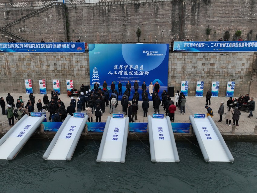 放流現(xiàn)場。宜賓市廣播電視臺(tái)供圖