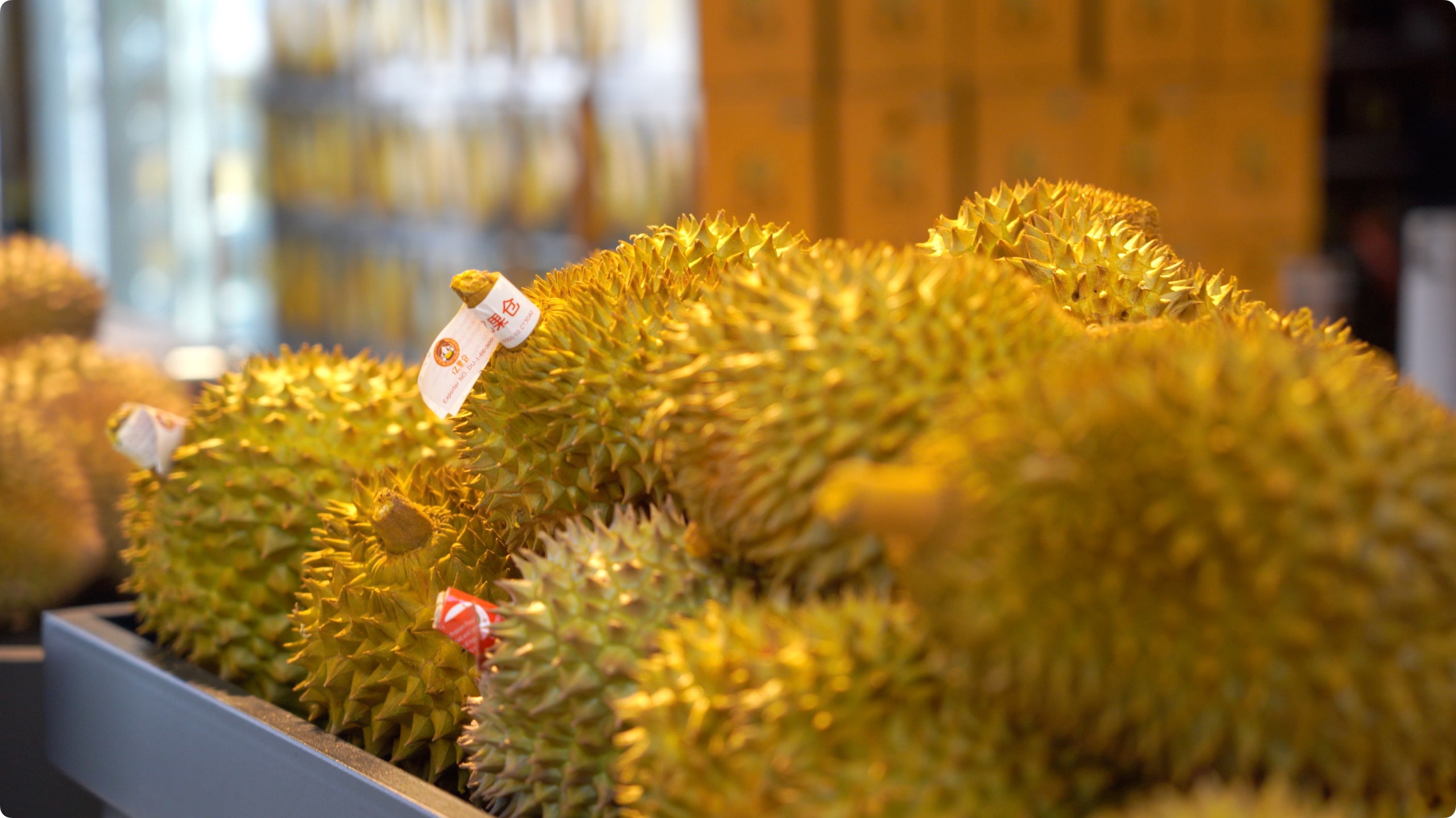 5月初，人民網(wǎng)記者申佳平攝