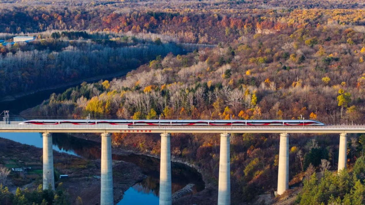 沈白高鐵正式開通運營。受訪方供圖